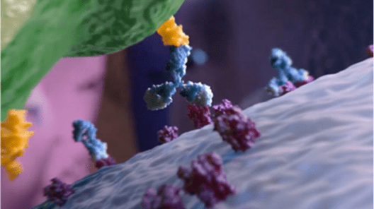 POTELIGEO Mechanism of Action