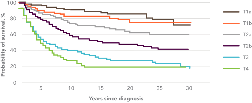 Chart showing overall survival, by T classification